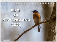 Load image into Gallery viewer, Birds of New England Calendar - 2023
